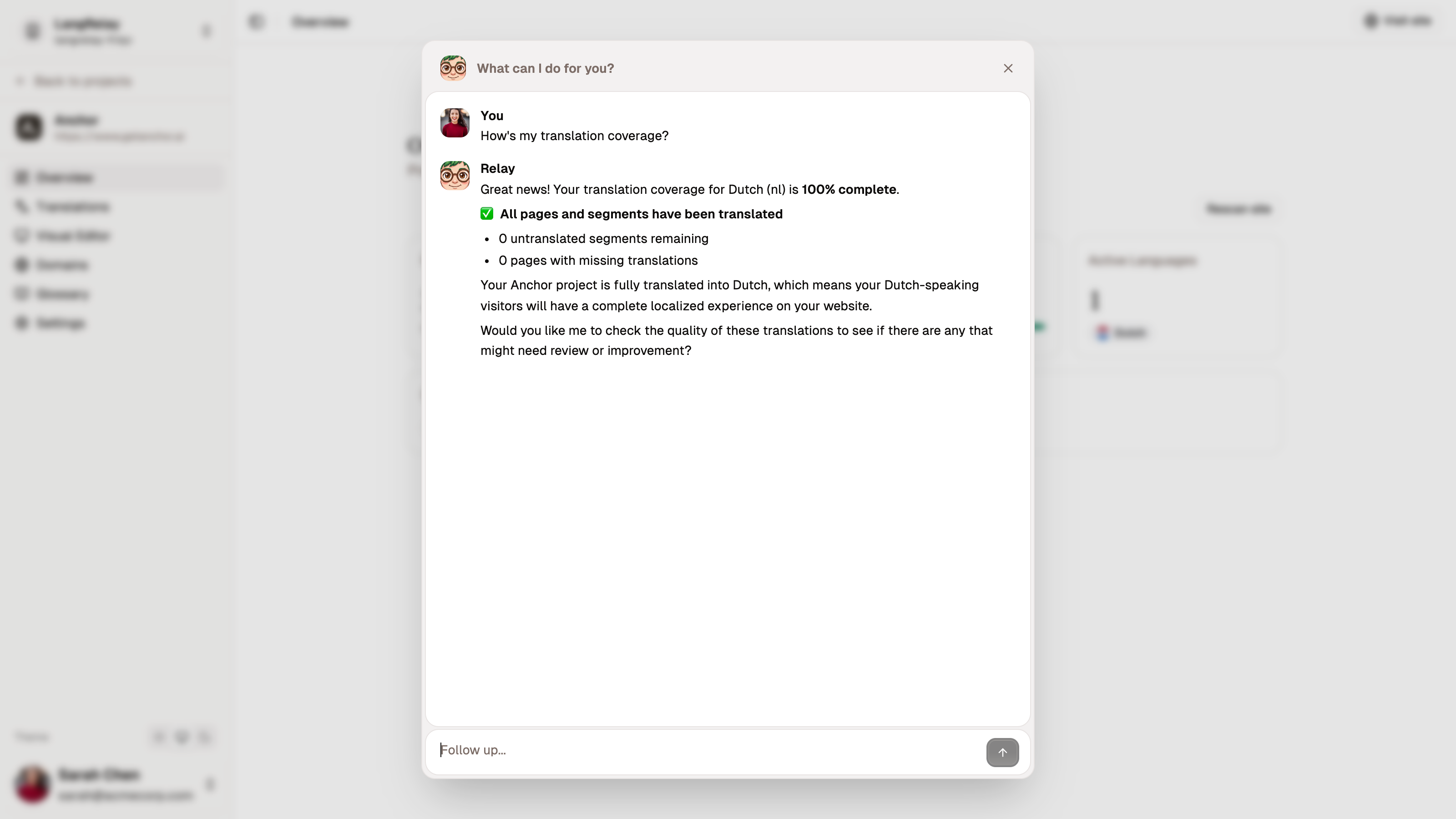 AI chat assistant helping with translation quality review